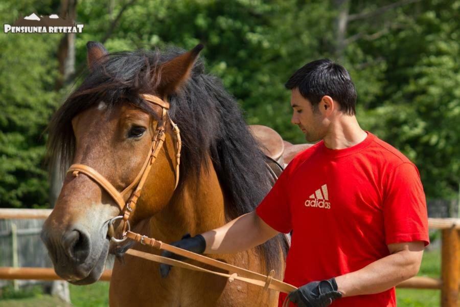 Pensiunea Retezat Campu Lui Neag Uricani  Екстериор снимка